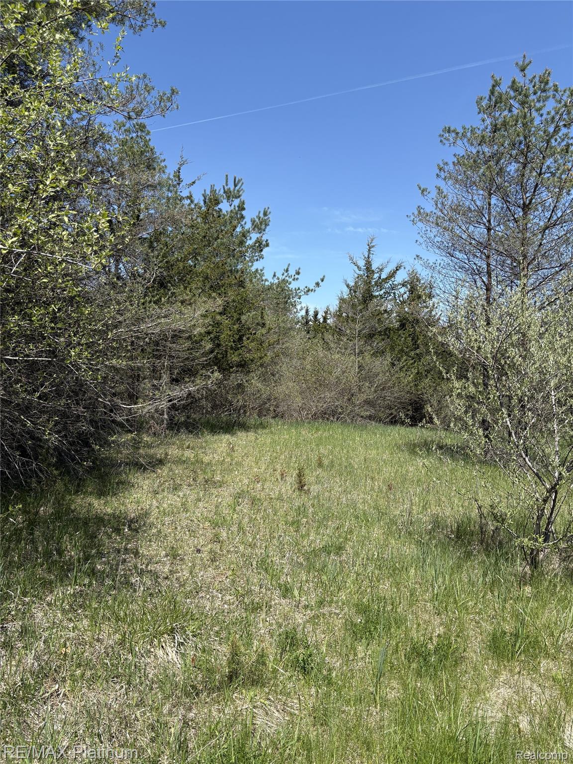 Parcel 7 Fisher Road Property Photo 5