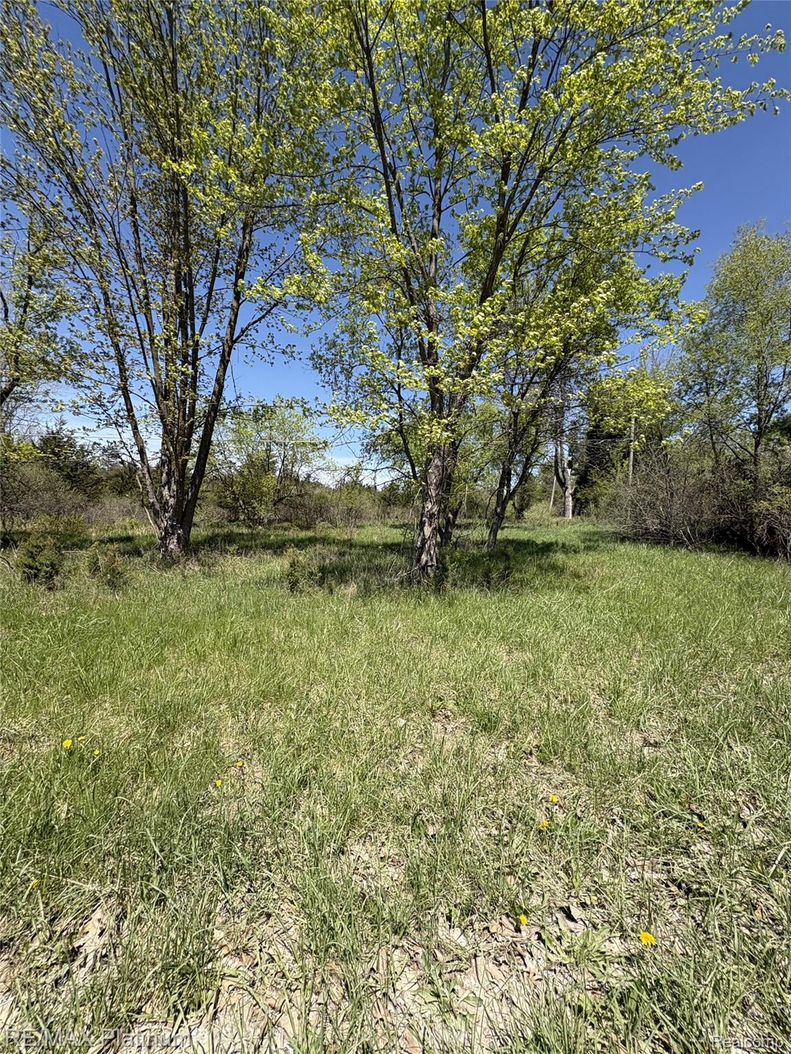 Parcel 7 Fisher Road Property Photo 6