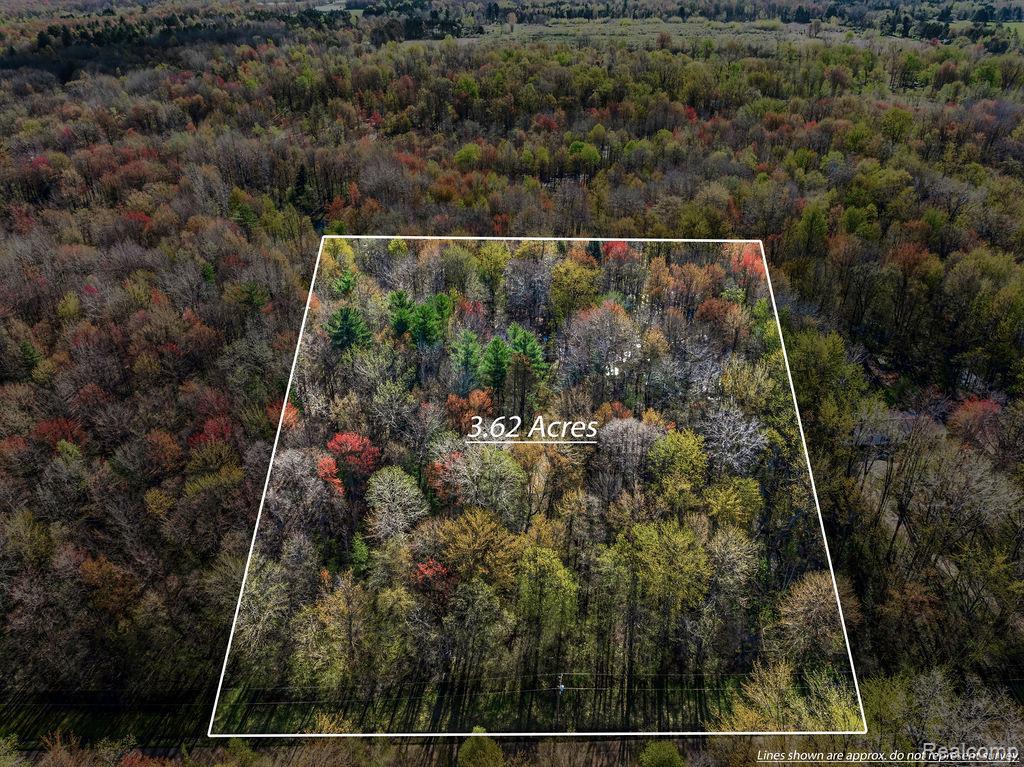 6799 Maplegrove Road Property Photo 1