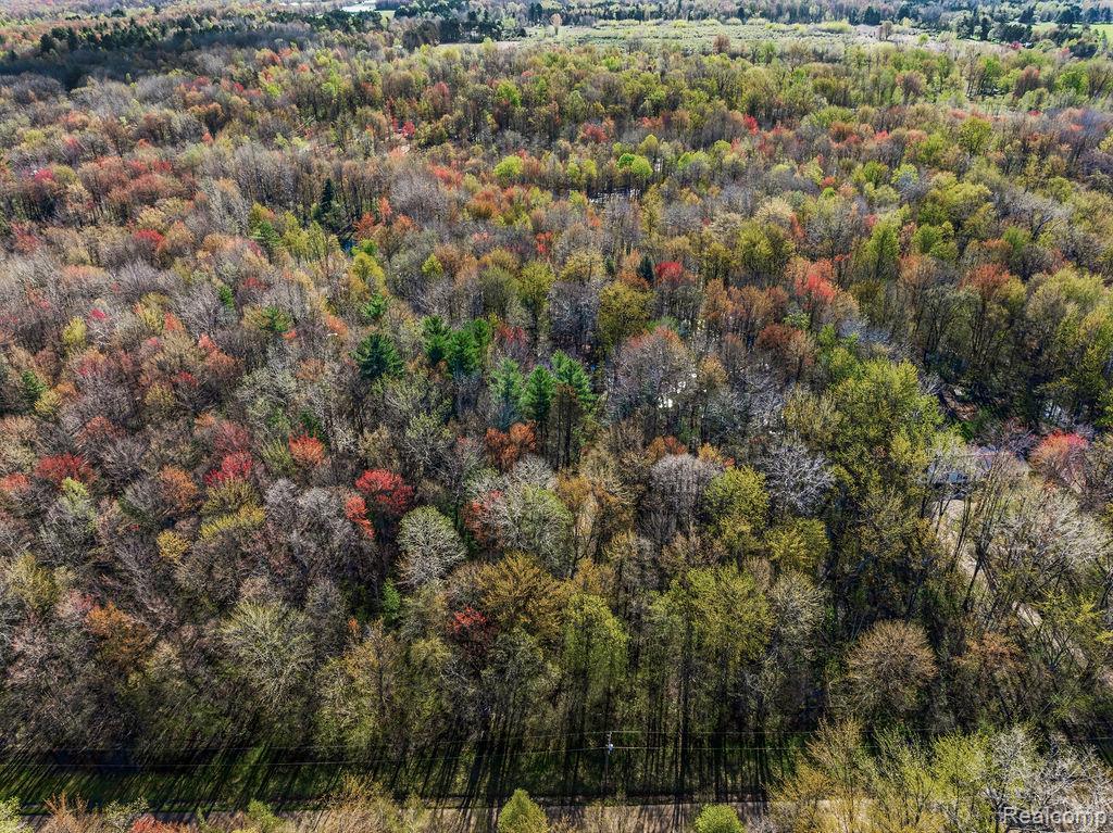 6799 Maplegrove Road Property Photo 2