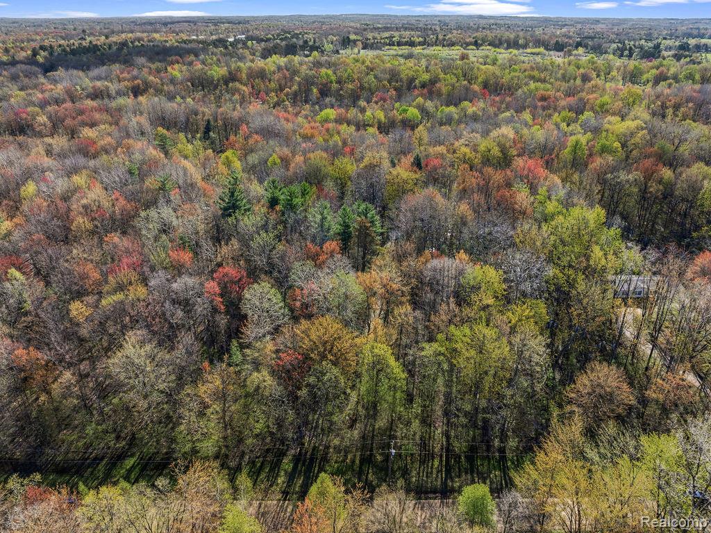 6799 Maplegrove Road Property Photo 3