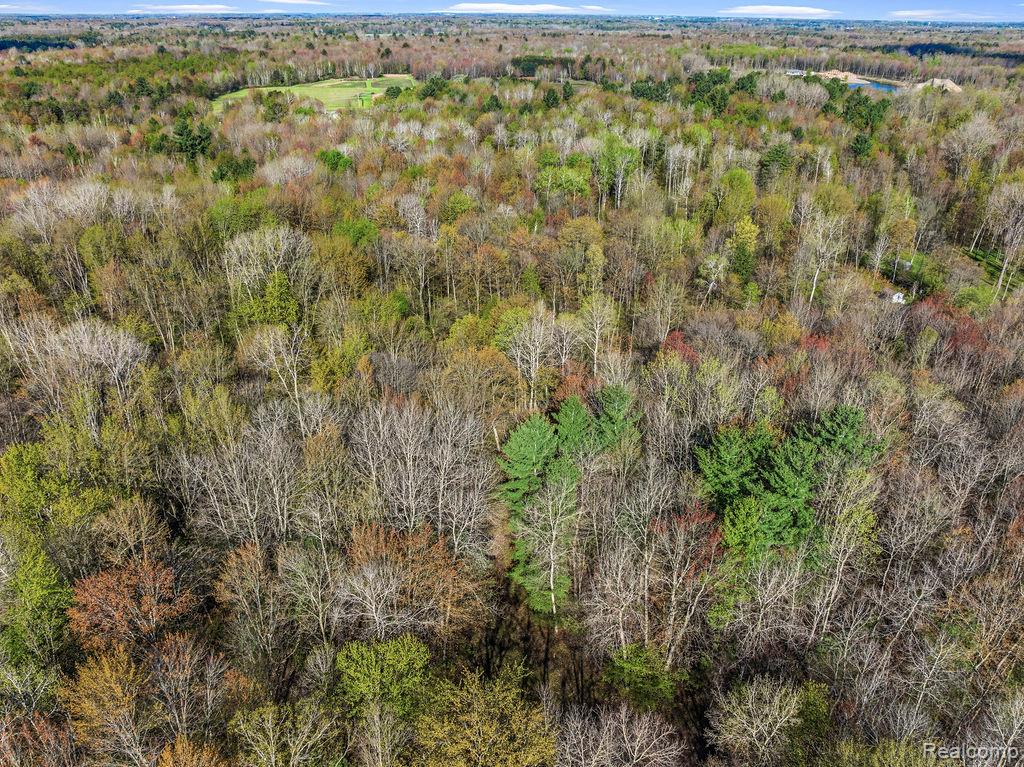 6799 Maplegrove Road Property Photo 4