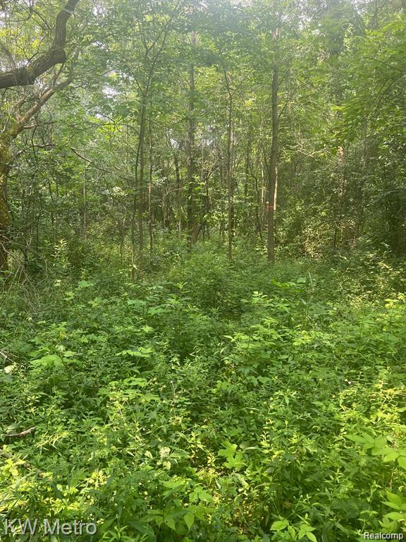 1135 N Baldwin Road Property Photo 2