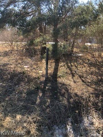 1135 N Baldwin Road Property Photo 10