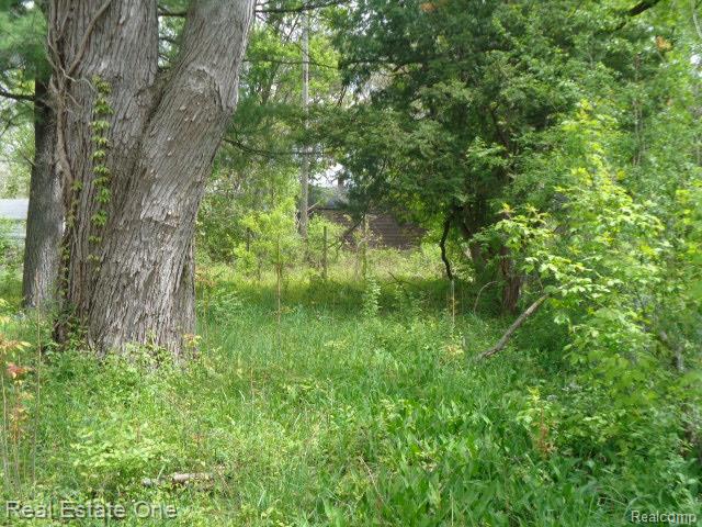 15772 Chatham Street Property Photo 8