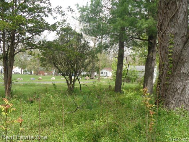 15772 Chatham Street Property Photo 9