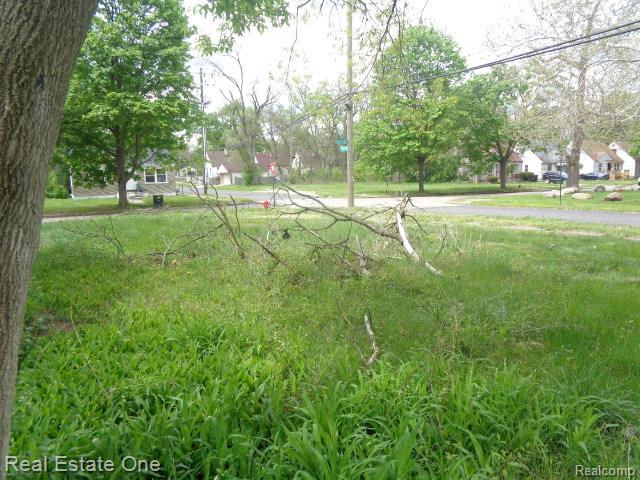 15772 Chatham Street Property Photo 13