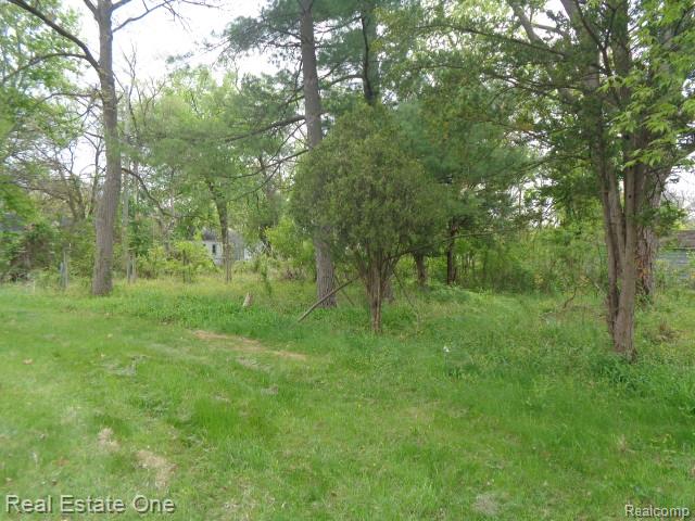 15772 Chatham Street Property Photo 16