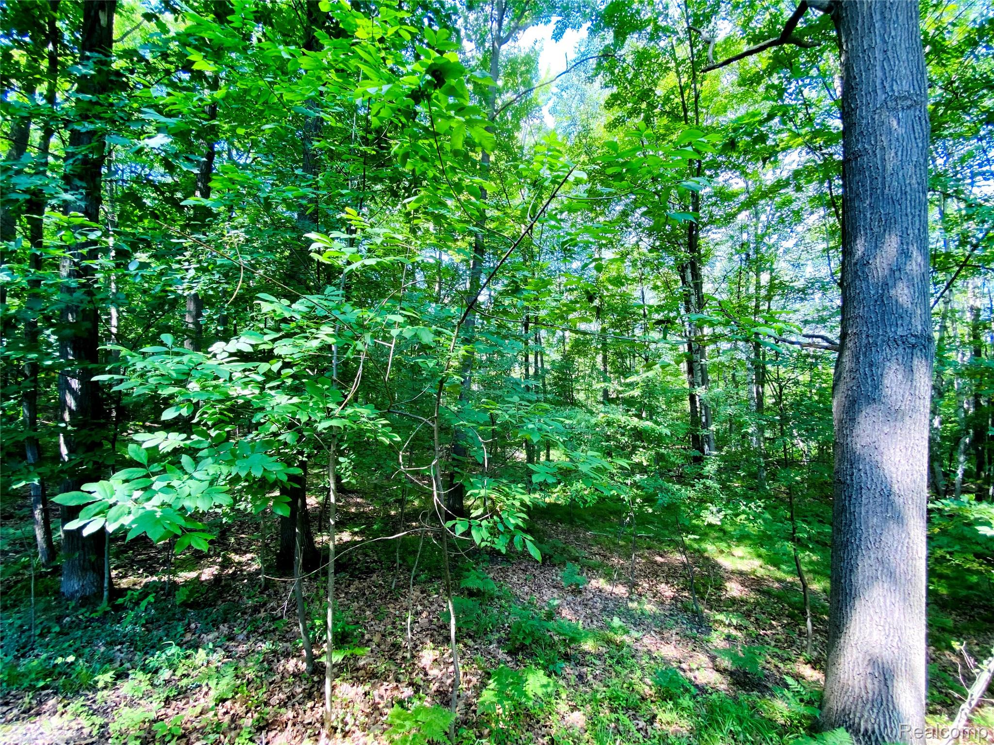 1576 Pine Knoll Lane Property Photo 20