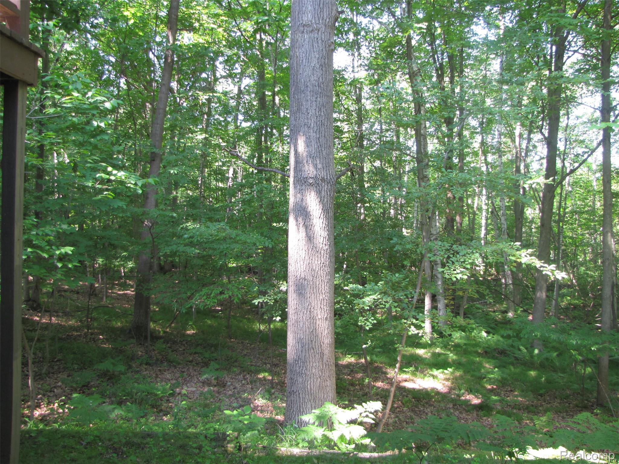 1576 Pine Knoll Lane Property Photo 26
