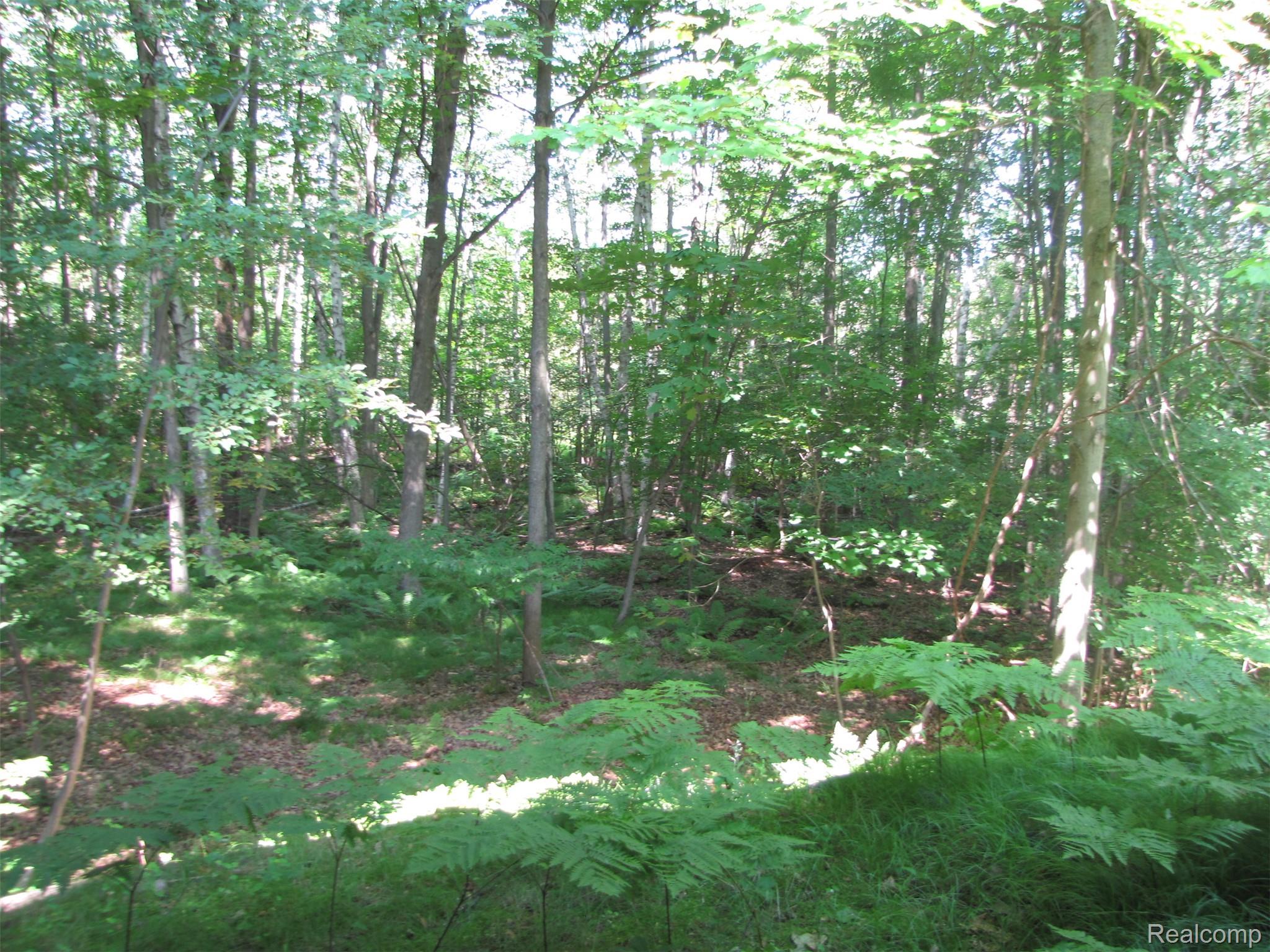 1576 Pine Knoll Lane Property Photo 27