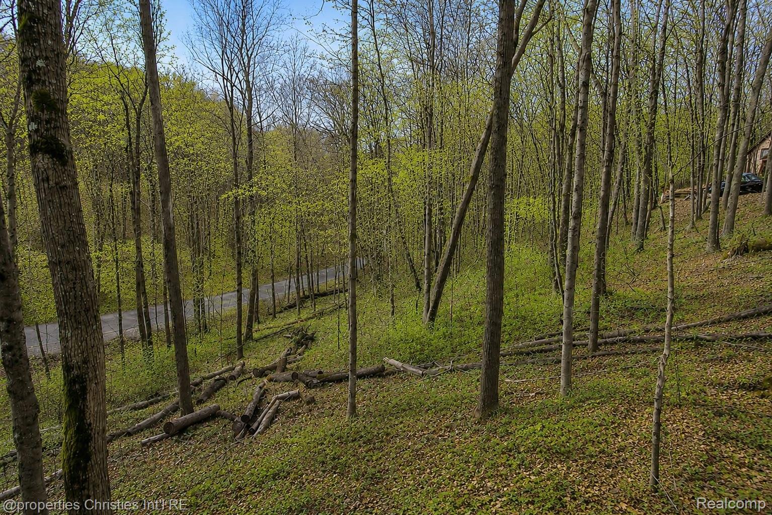 4001 Deskin Drive Property Photo 4