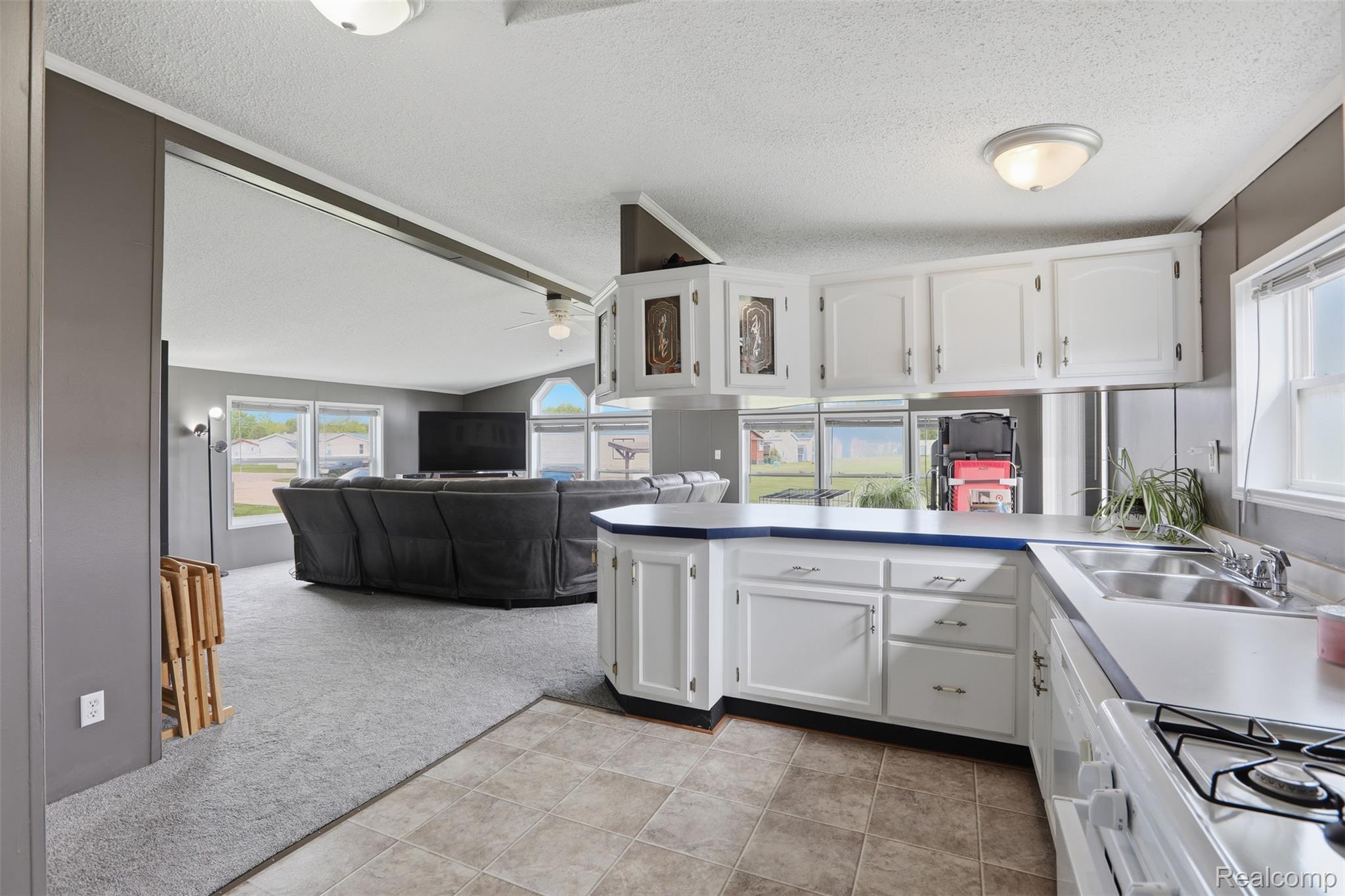 29220 Tanglewood Property Photo 6