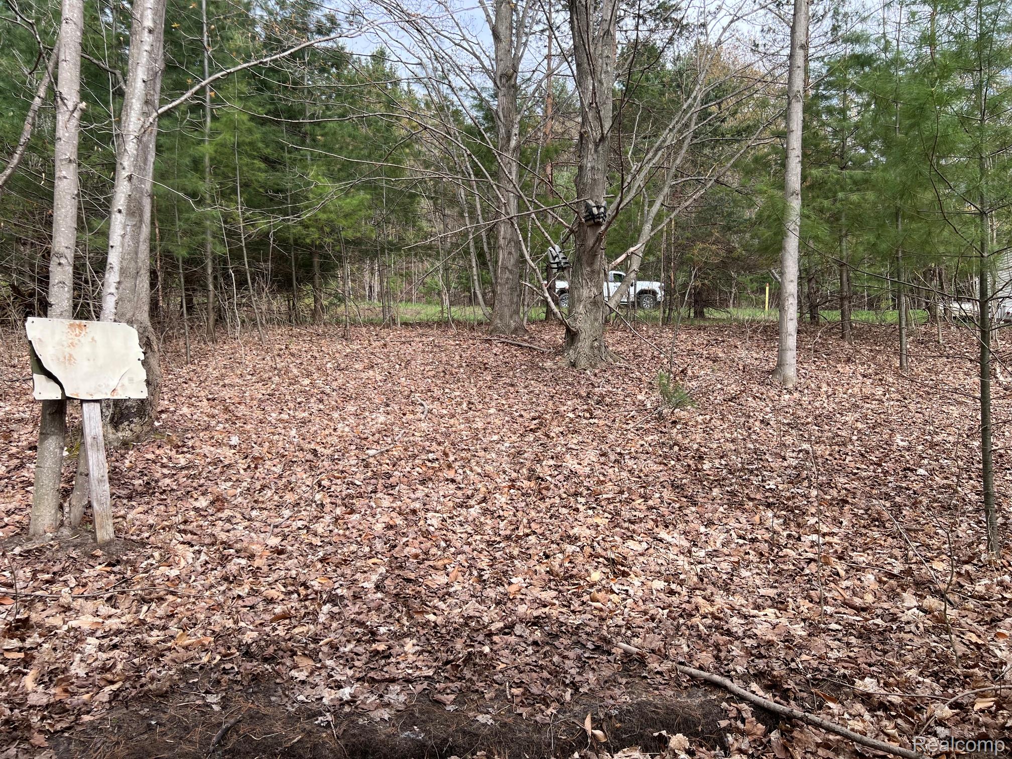 2903 Rushton Road Property Photo 15