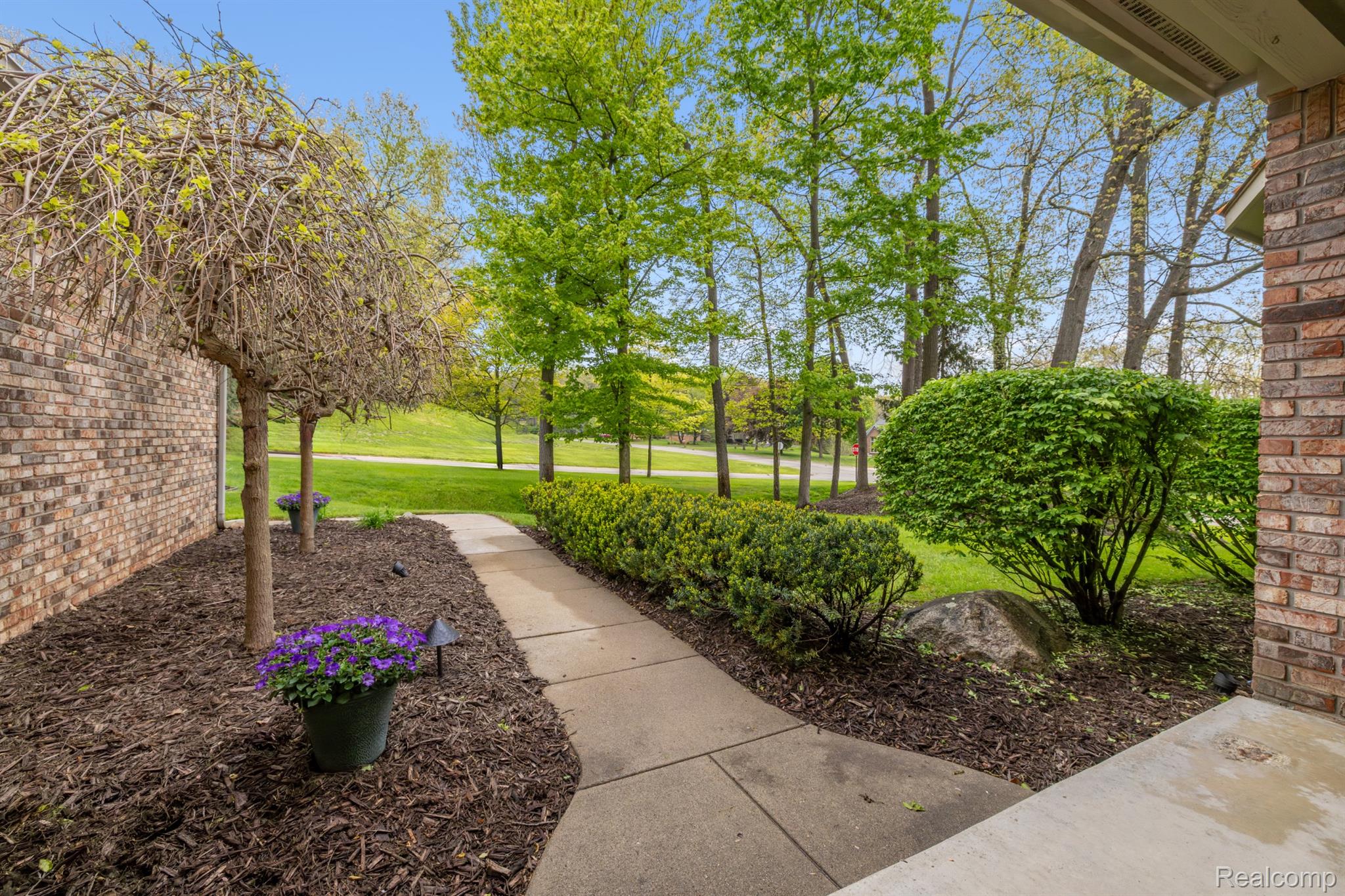 2484 Pine Hollow Trail Property Photo 5