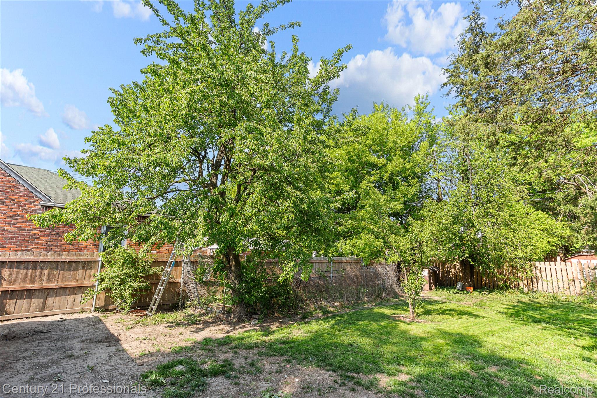3231 Spruce Street Property Photo 31