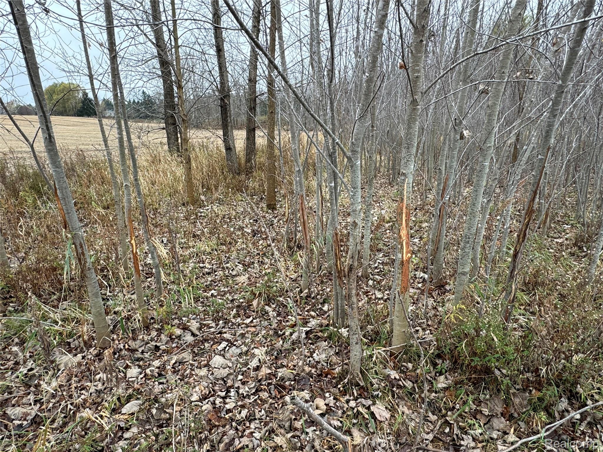 6018 Lahring Road Property Photo 6