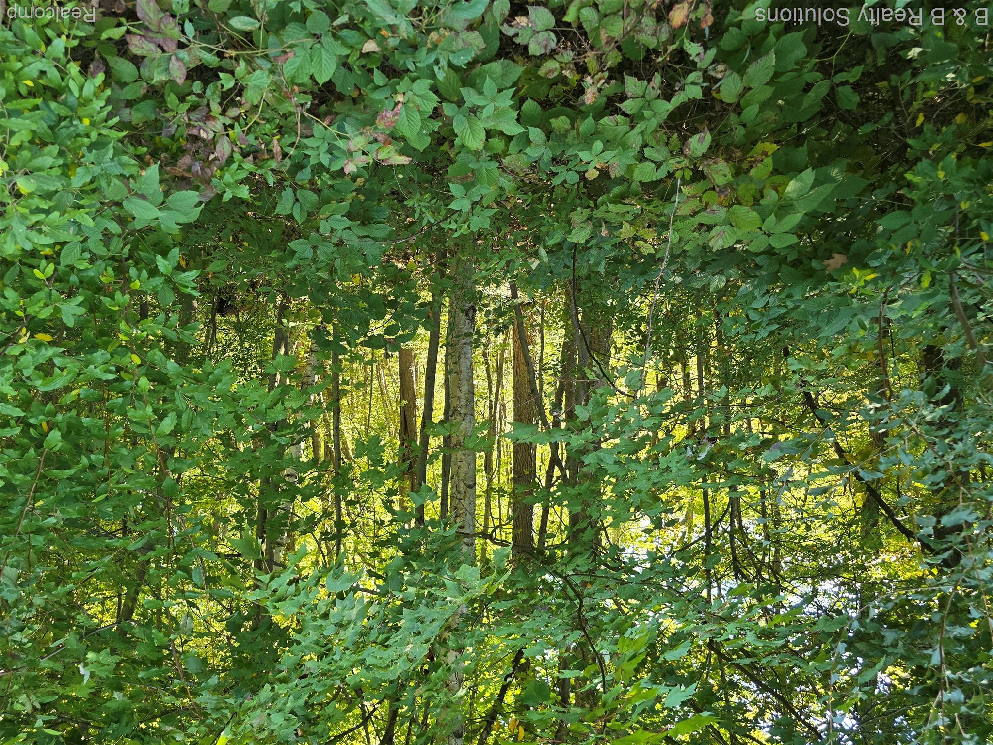 Unit 12 Sheryl Court Property Photo 5