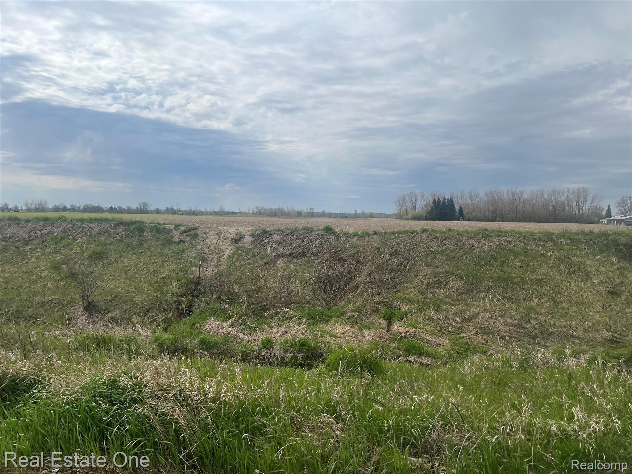 1723 S Van Dyke Road Property Photo 2