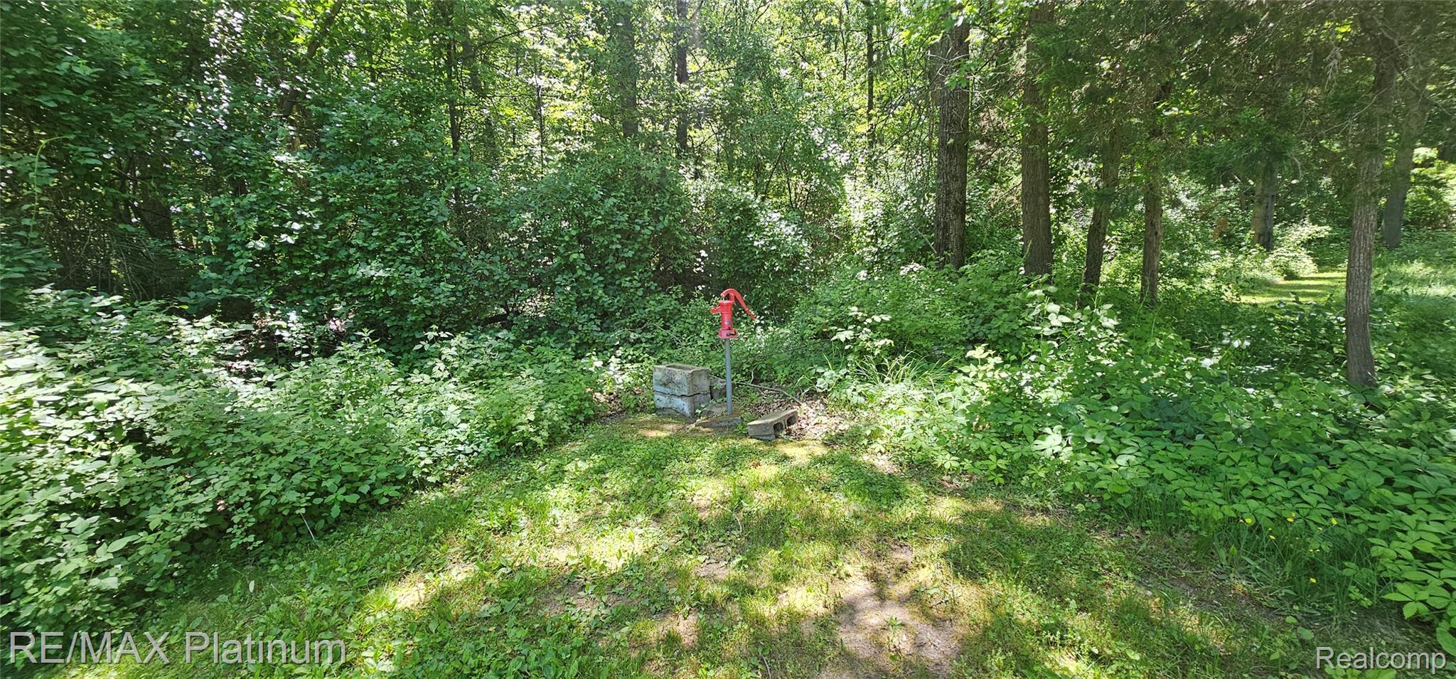 17140 Haggerty Road Property Photo 33