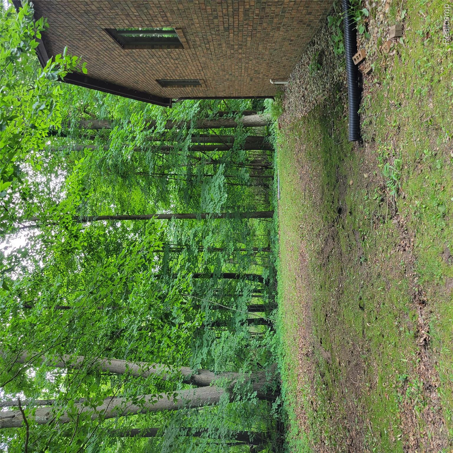9345 Weber Road Property Photo 11