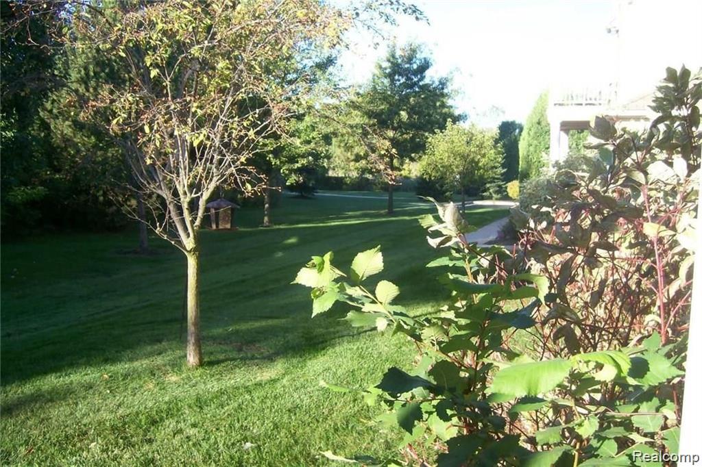 34558 Northrup Drive Property Photo 3