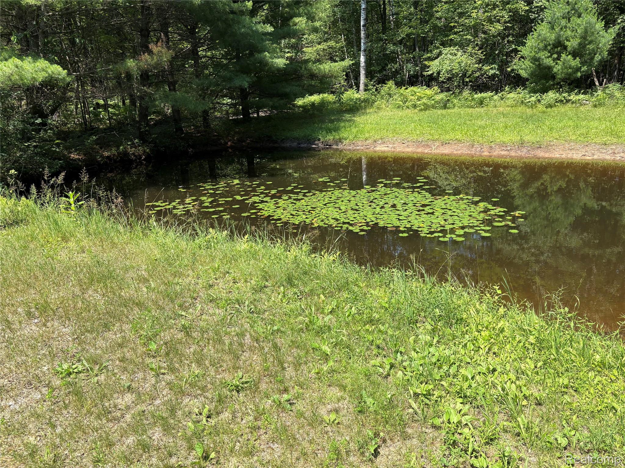 1501 Michael Drive Property Photo 26