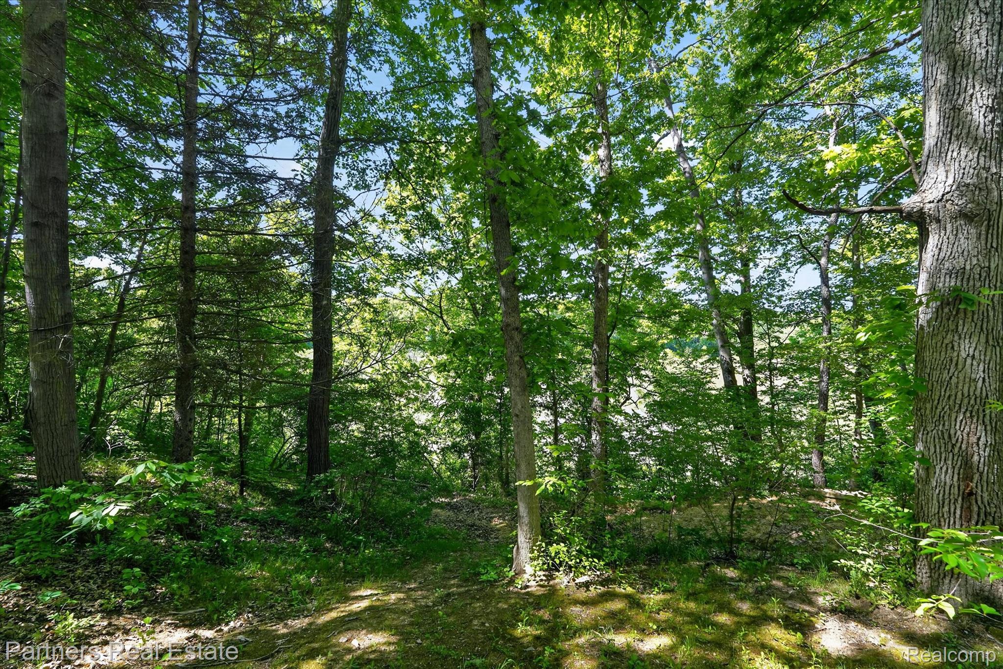 4053 Rolling Acres Drive Property Photo 61