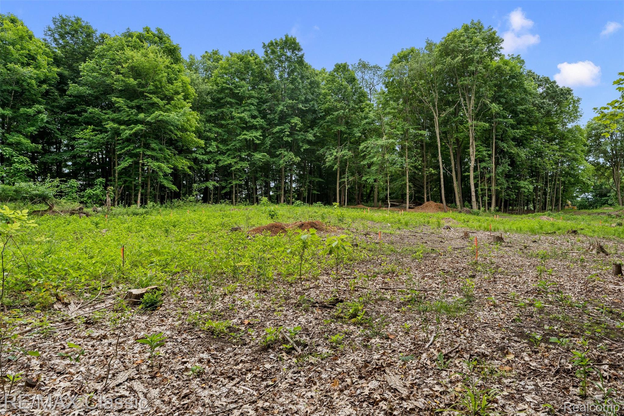 7888 N Territorial Property Photo 4