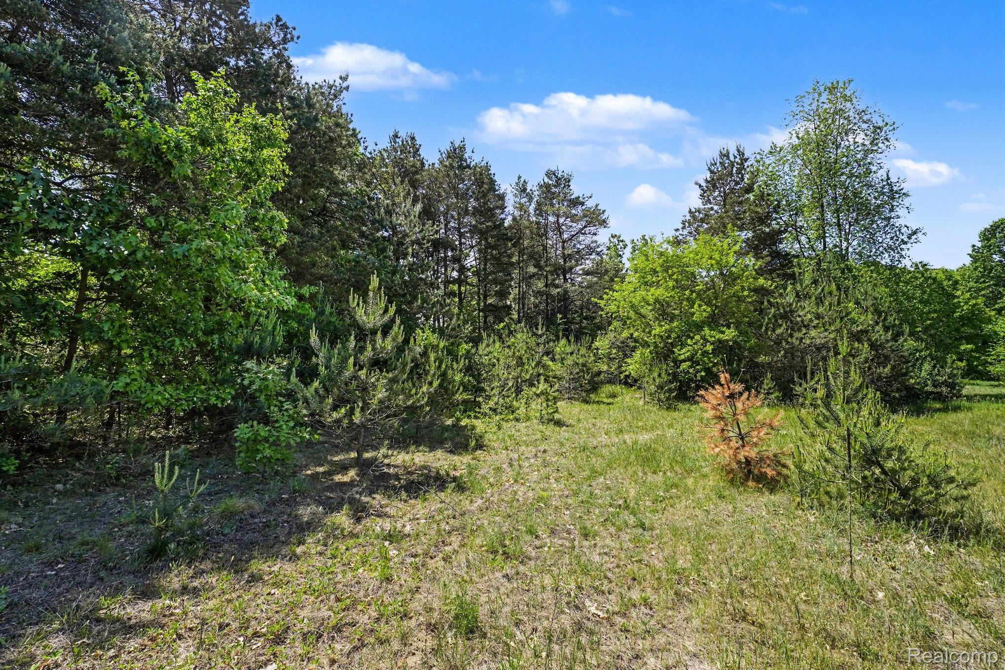 1948 Mayfield Road Property Photo 12