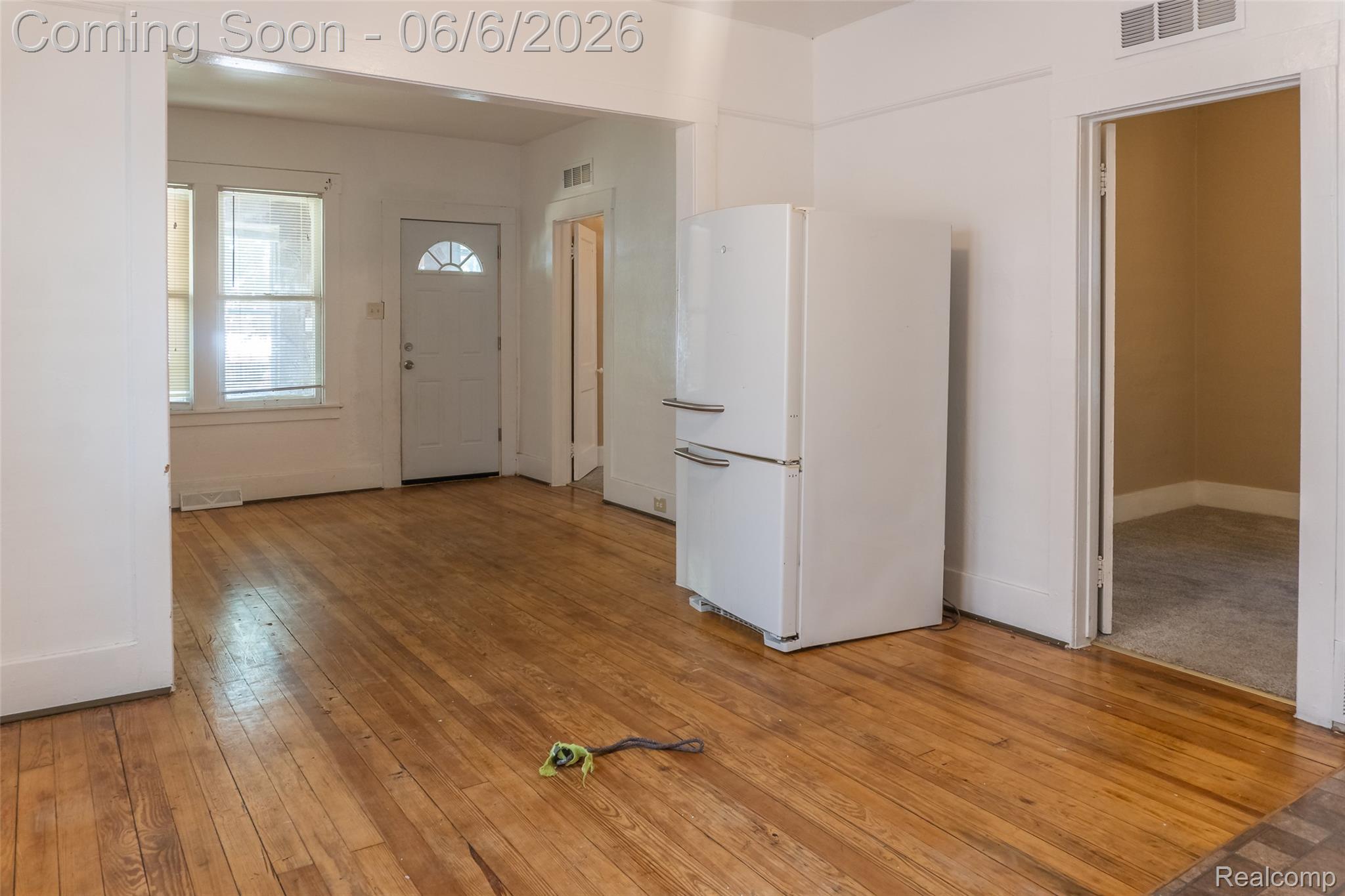 207 Richter Street Property Photo 10