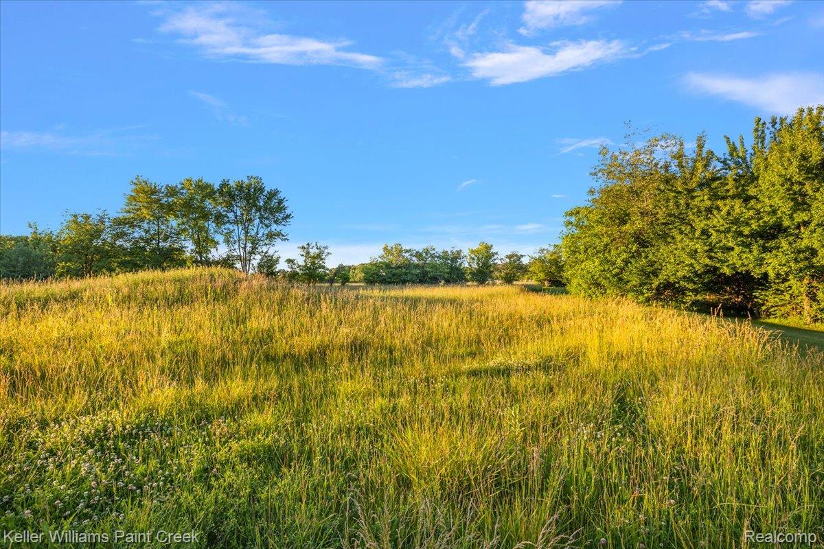 54230 Card Road Property Photo 17