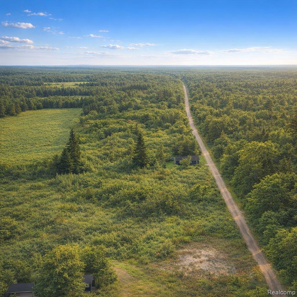 0 Gray Road Property Photo 3