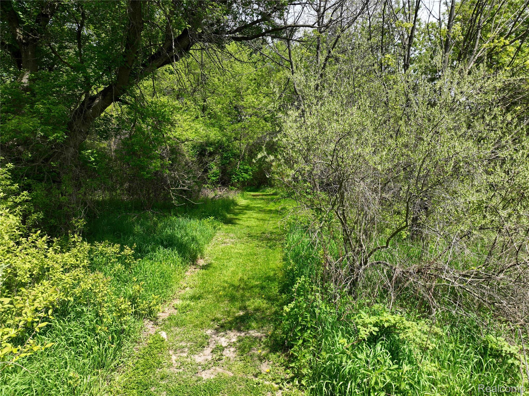 0 Gray Road Property Photo 4