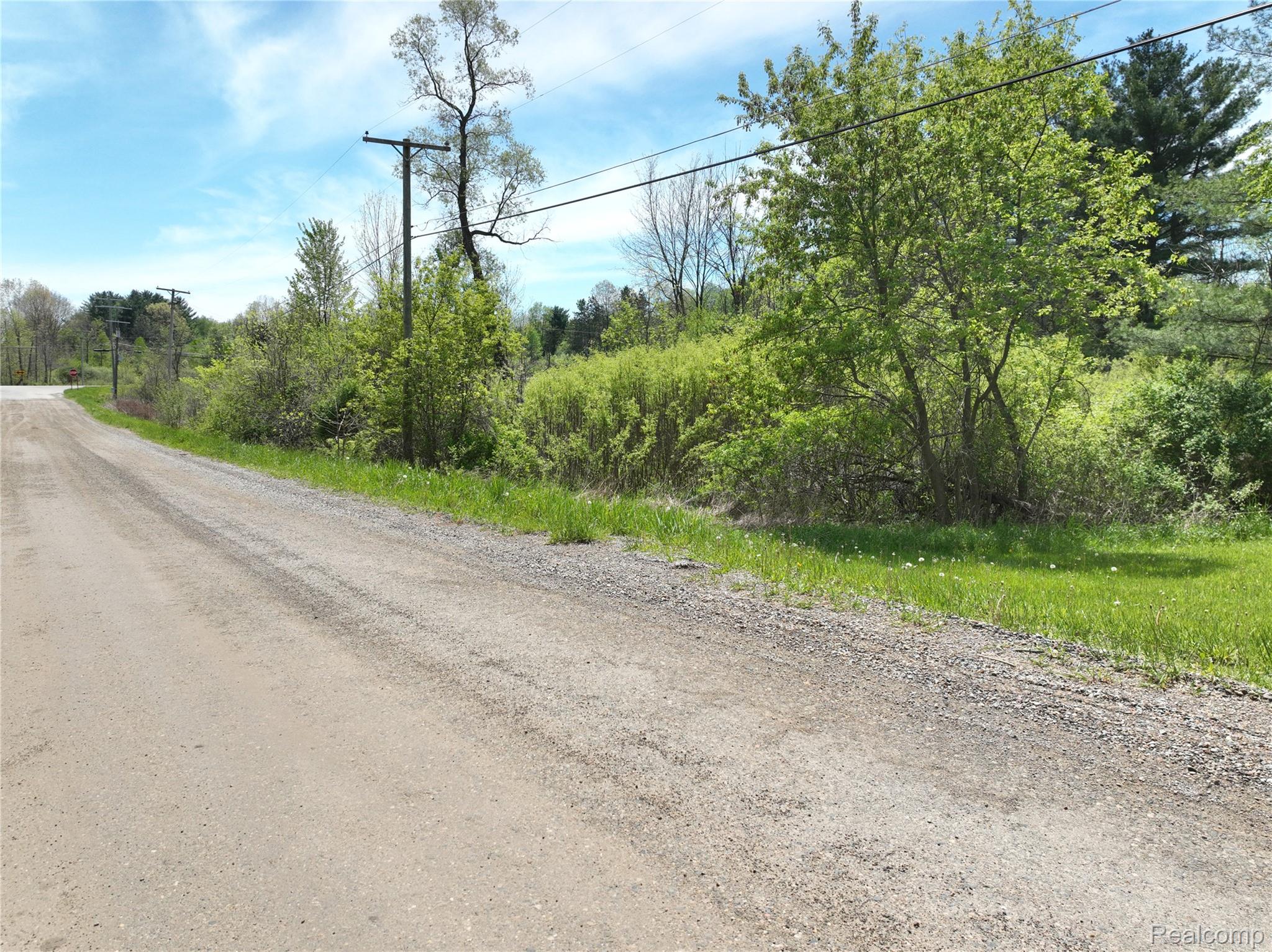 0 Gray Road Property Photo 6