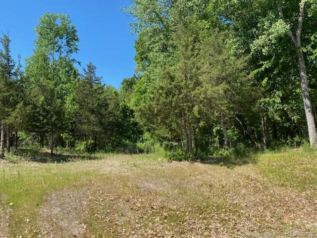 Lot 5 Dollar Ridge Lane Property Photo 2