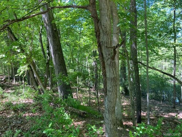 Lot 5 Dollar Ridge Lane Property Photo 5