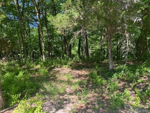 Lot 5 Dollar Ridge Lane Property Photo 6