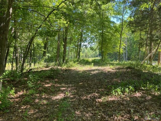 Lot 5 Dollar Ridge Lane Property Photo 7