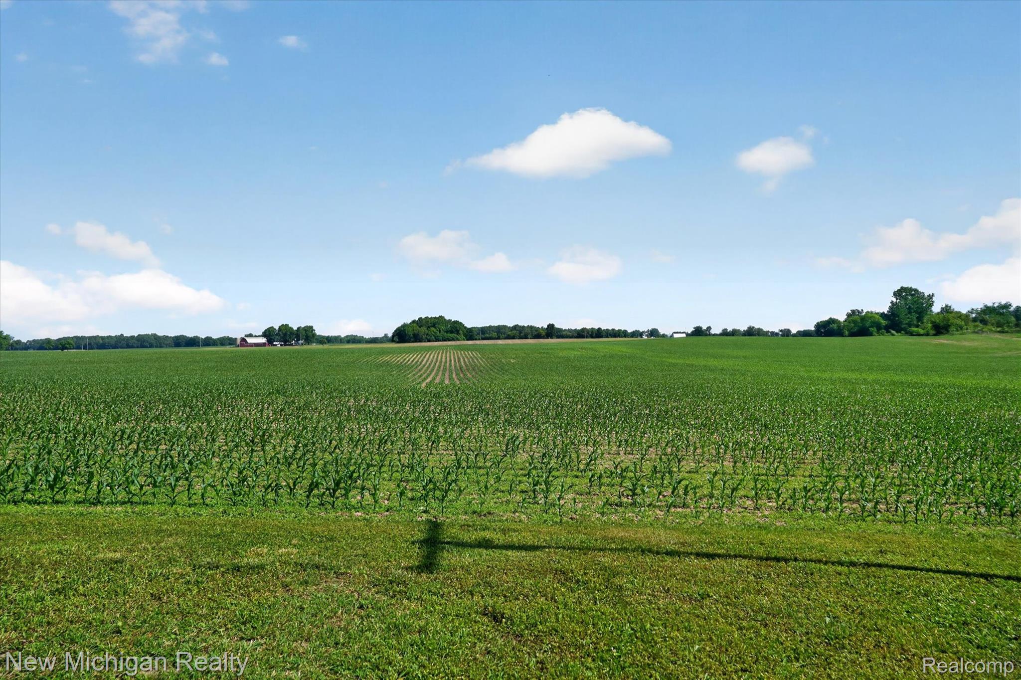 11374 Lahring Road Property Photo 52