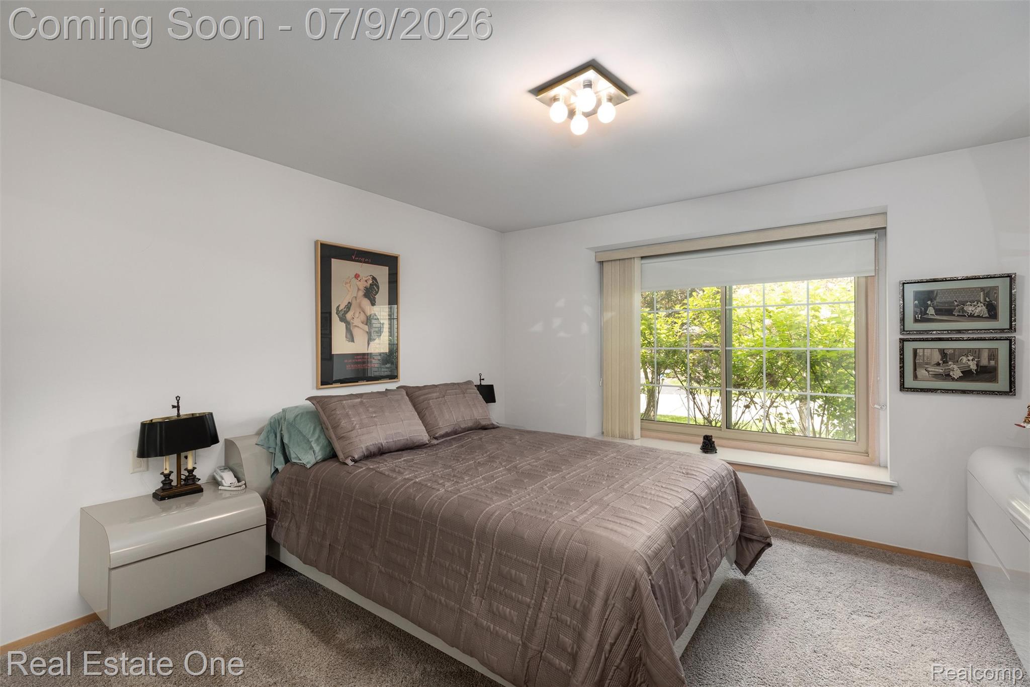 6273 Celeste Road Property Photo 26