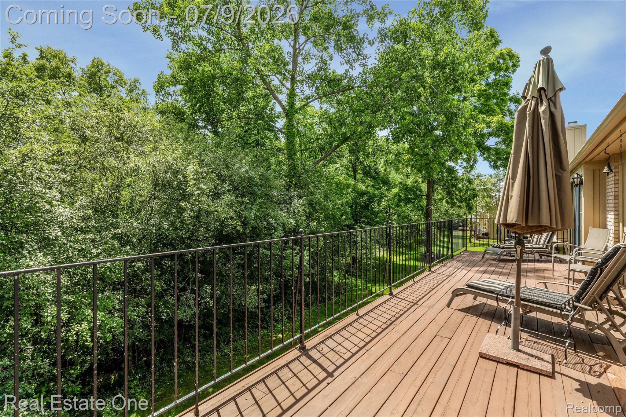 6273 Celeste Road Property Photo 43
