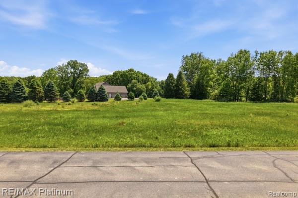 00 Iosco Mountain Road Property Photo 4