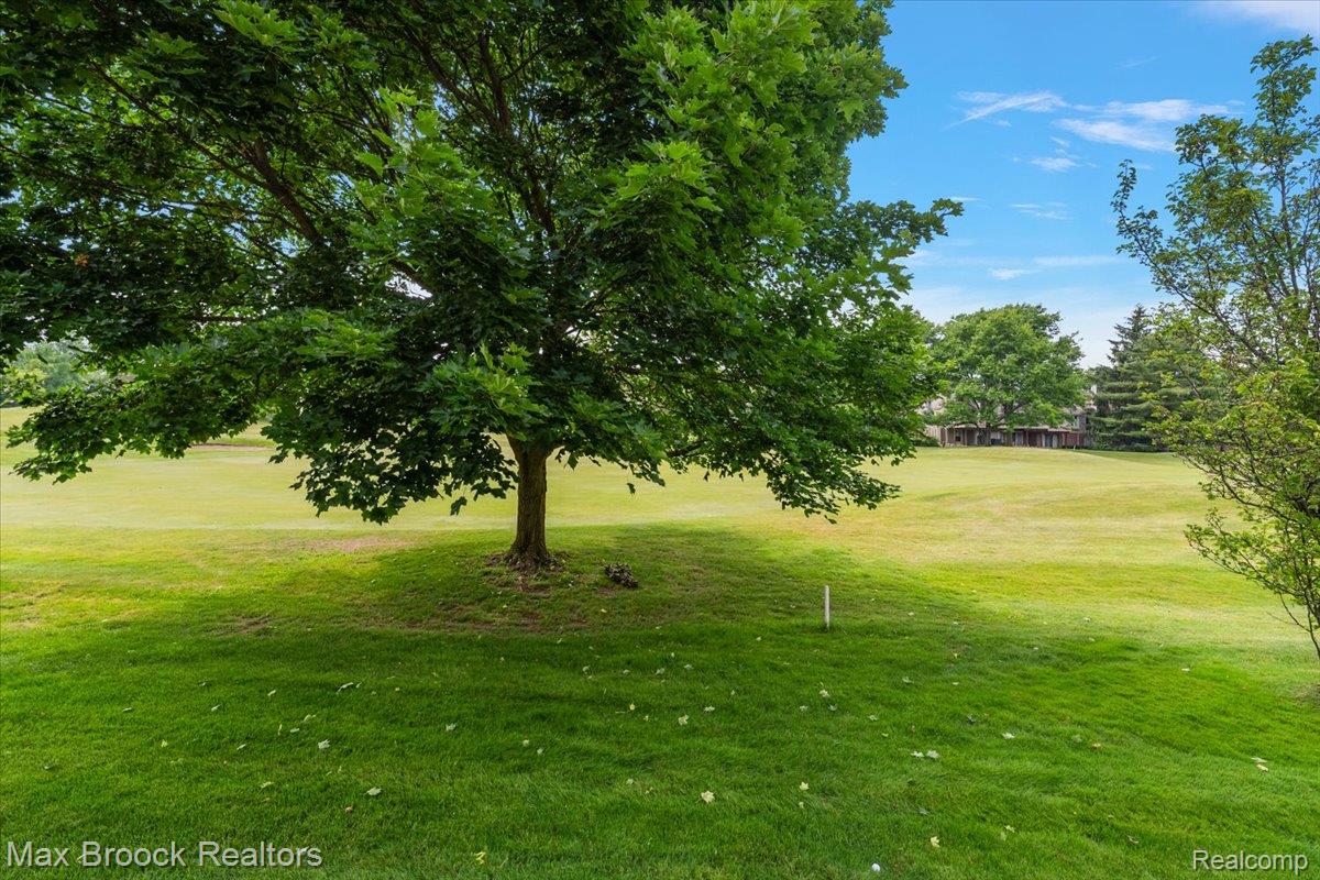 2478 Wildbrook Run Property Photo 6