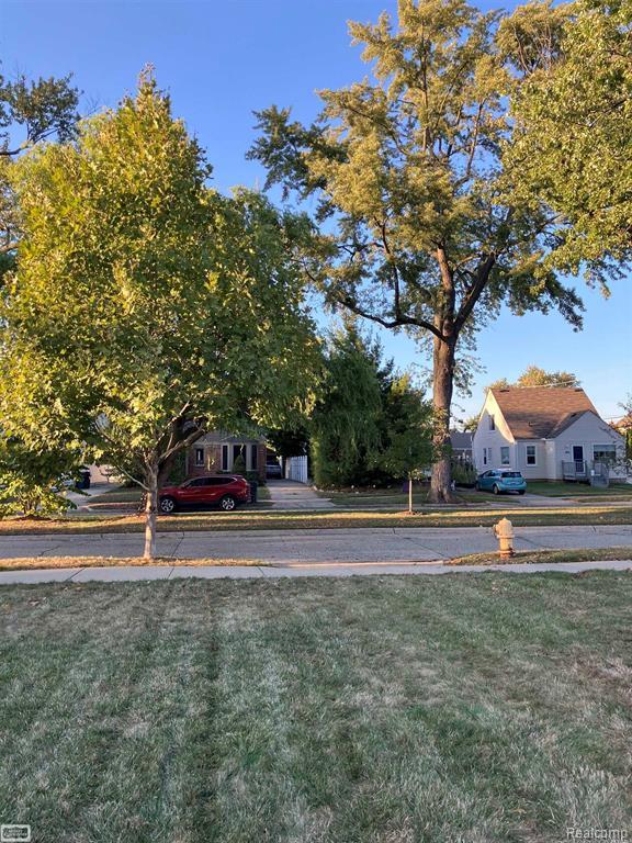 1137 Larkmoor Property Photo 3