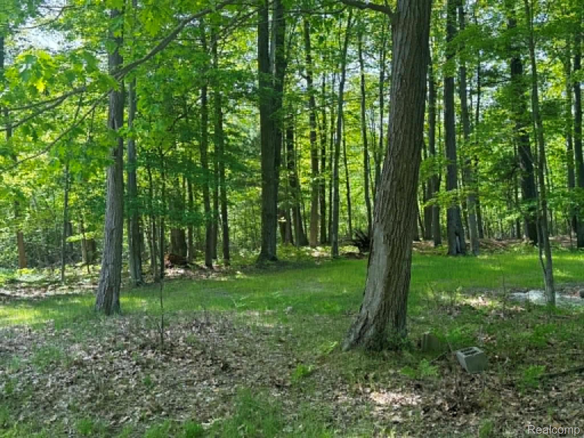 Lot 4 Towering Oaks Drive Property Photo 3