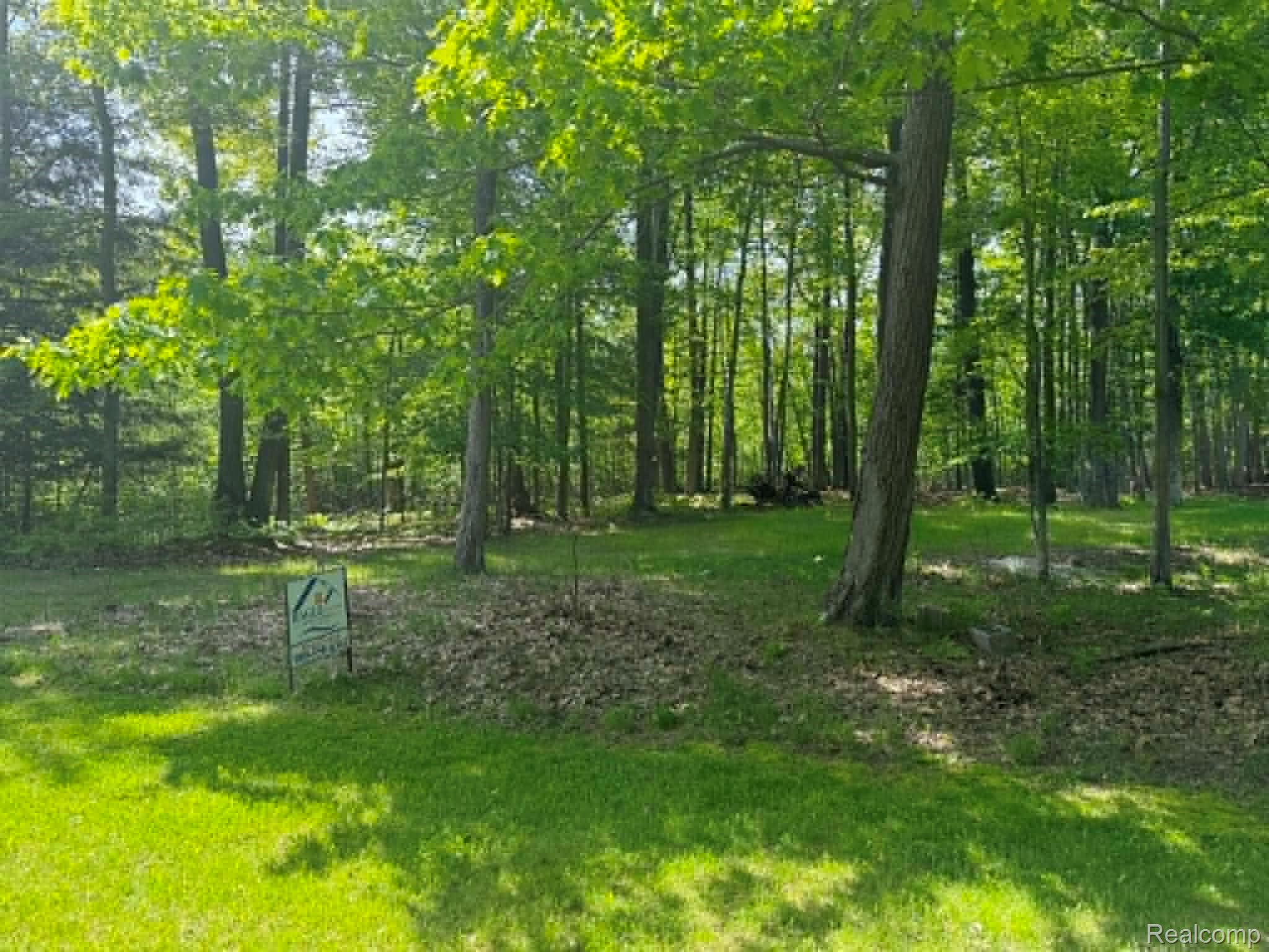 Lot 4 Towering Oaks Drive Property Photo 4