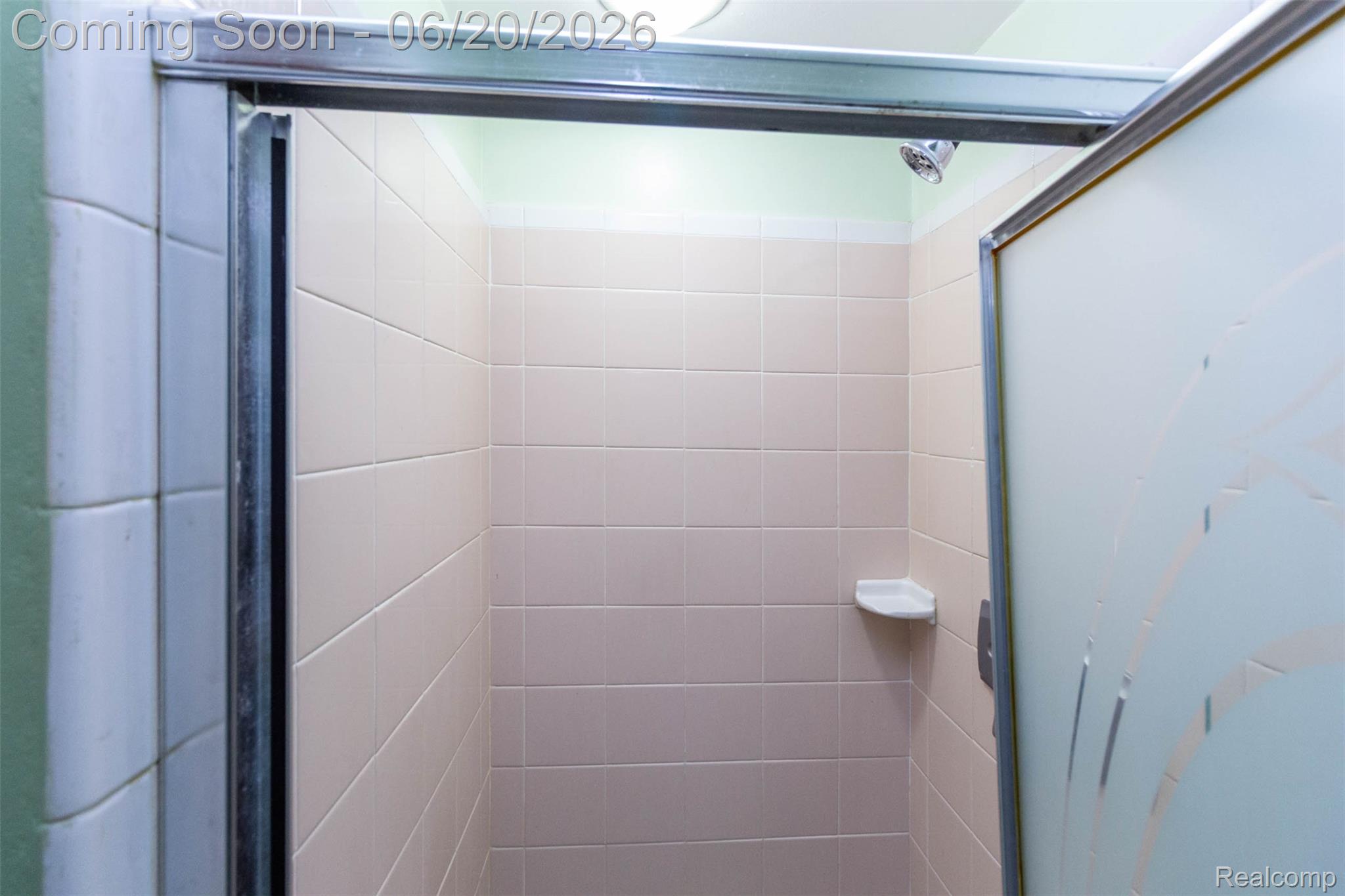 1454 Pine Valley Boulevard Property Photo 19