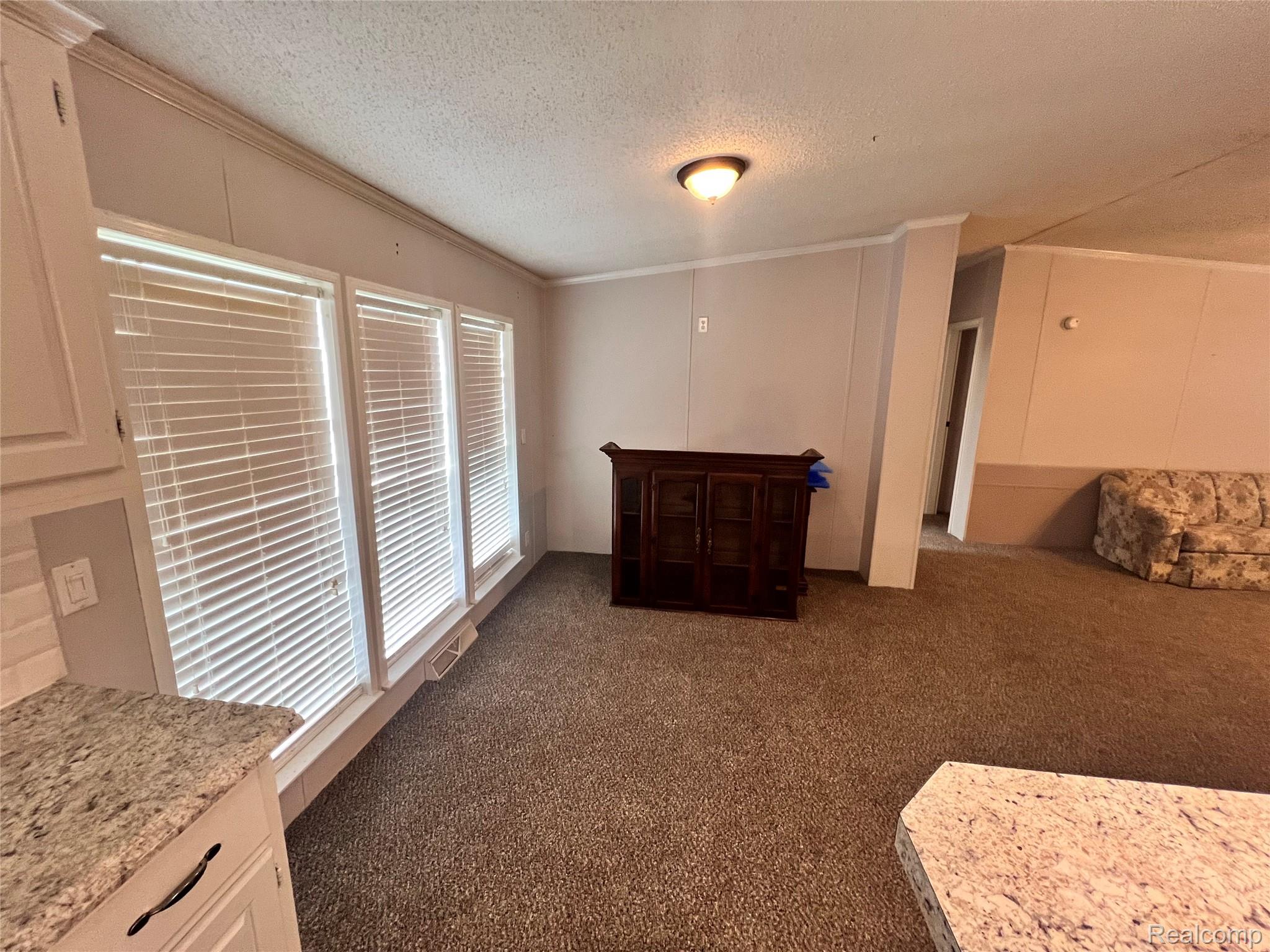 415 Weeping Willow Property Photo 6