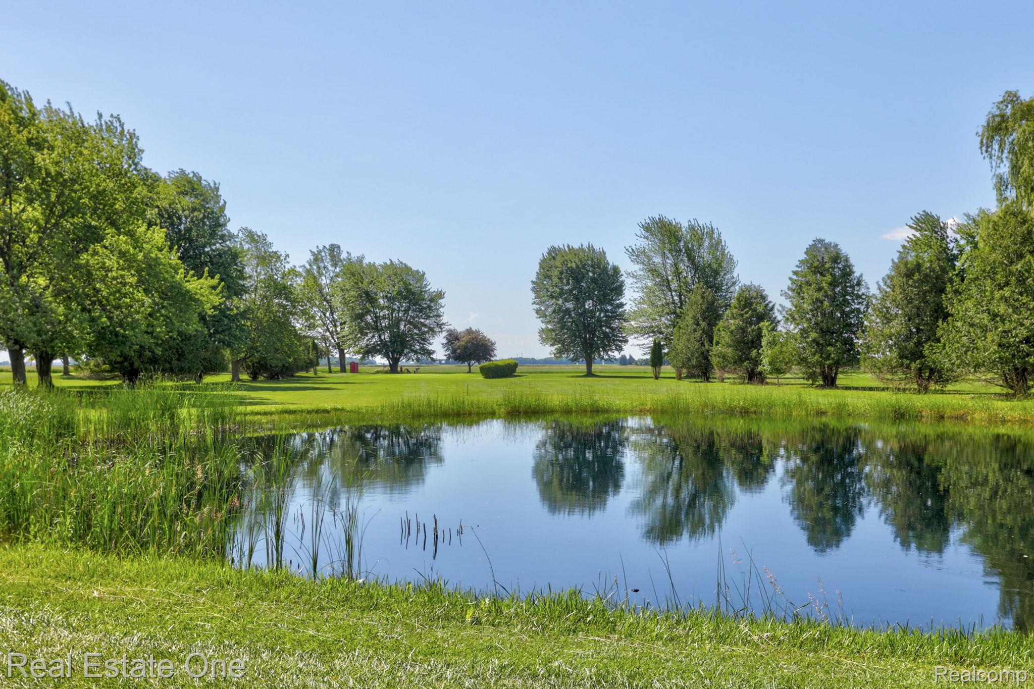 5848 Griggs Road Property Photo 45